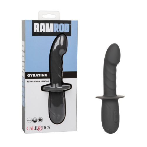 Ramrod Gyrating Vibrator