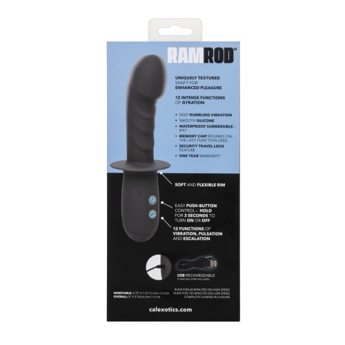 Ramrod Gyrating Vibrator