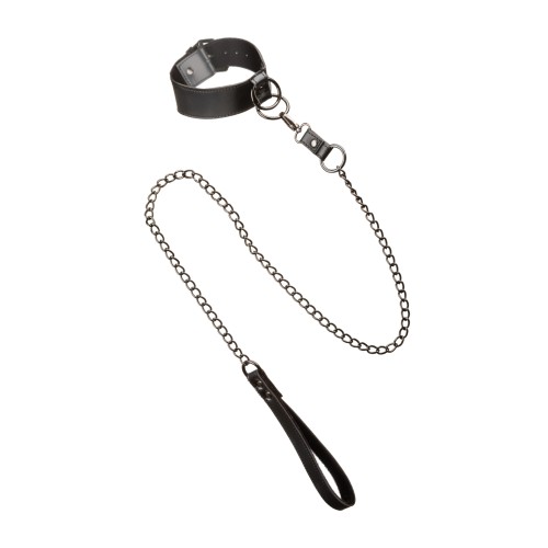 Euphoria Collection Collar with Chain Leash