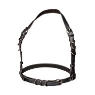 Stylish Euphoria Halter Buckle Harness for Explorers