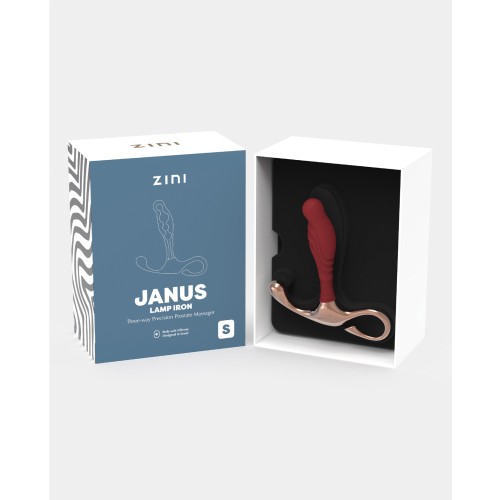 Zini Janus Lamp Iron Prostate Massager for Enhanced Pleasure