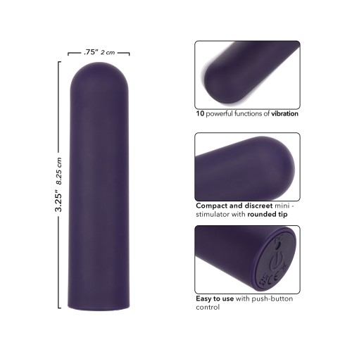 Turbo Buzz Rounded Bullet Stimulator Purple