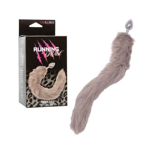 Running Wild Metallic Anal Probe with Tail