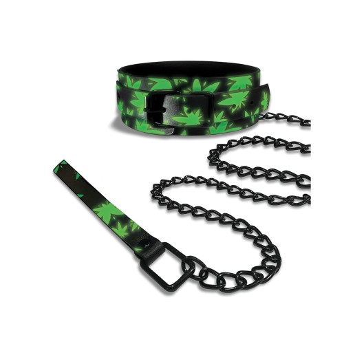 Collar y Correa Brillantes Stoner para Juego BDSM