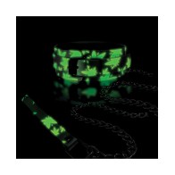 Glow in the Dark Stoner Collar and Leash for BDSM Play