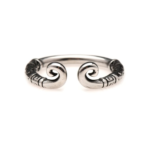 Master Series Anillo de Acero Inoxidable Kingpin 24mm