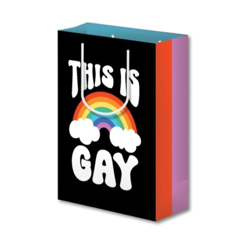 Pride-Themed Gift Bag for Special Occasions