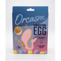 Remote Controlled Wearable Egg Vibrator