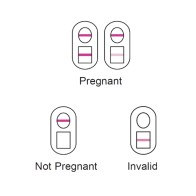 Versa EasyLab Pregnancy Test - Pack of 2