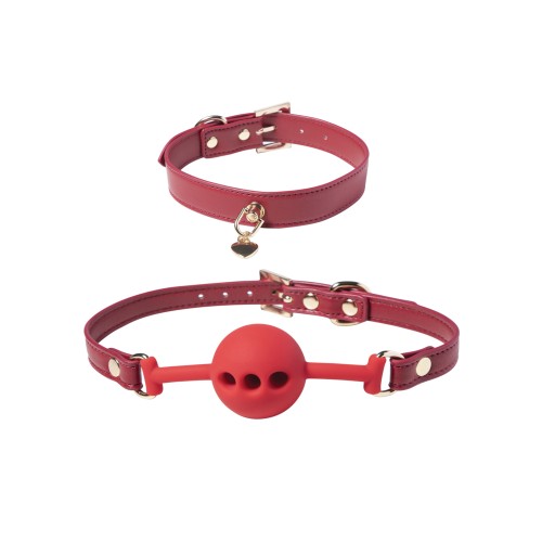 Kit de Bondage Kinky Play Box Rojo Pasión - Conjunto de 8 Piezas