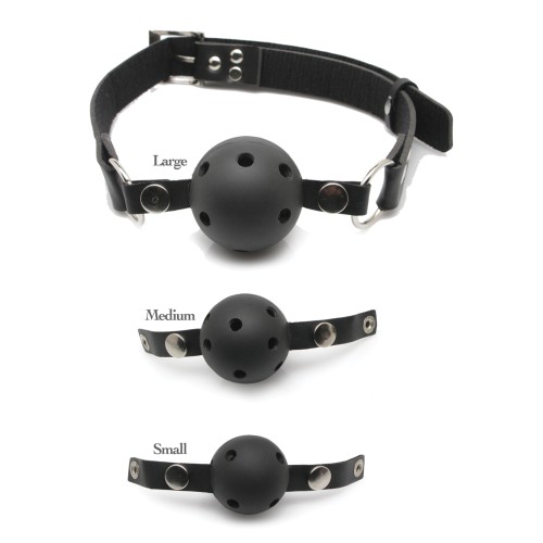 Fetish Fantasy Series Ball Gag Training Kit