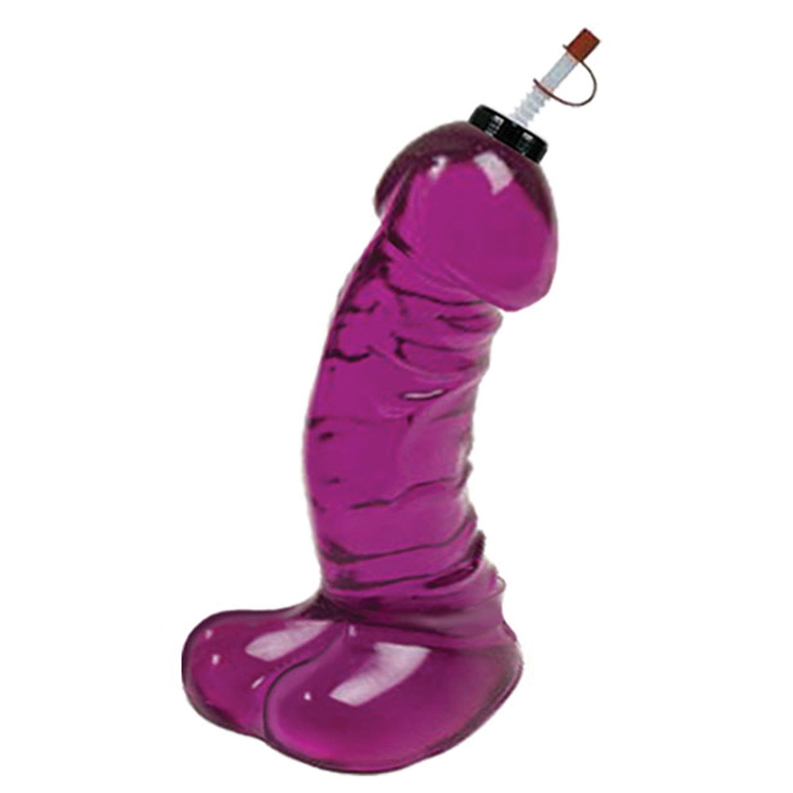 Dicky Chug Sports Bottle Purple 16 oz