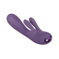 Je Joue FiFi 2 Purple