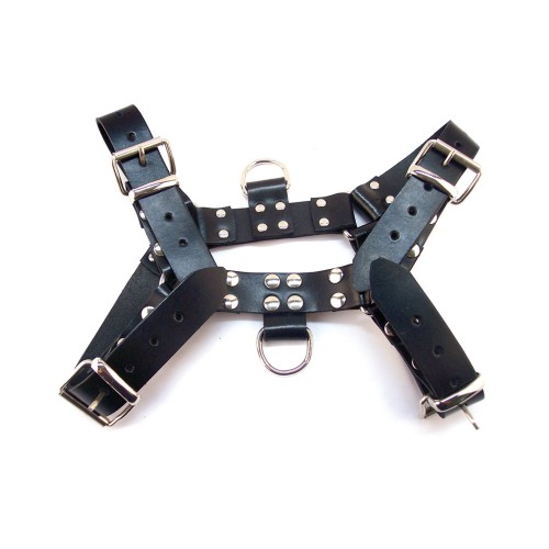 Rouge Over the Head Large Harness Black Adjustable