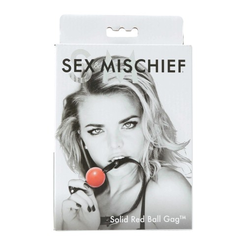 Sex and Mischief Solid Red Ball Gag