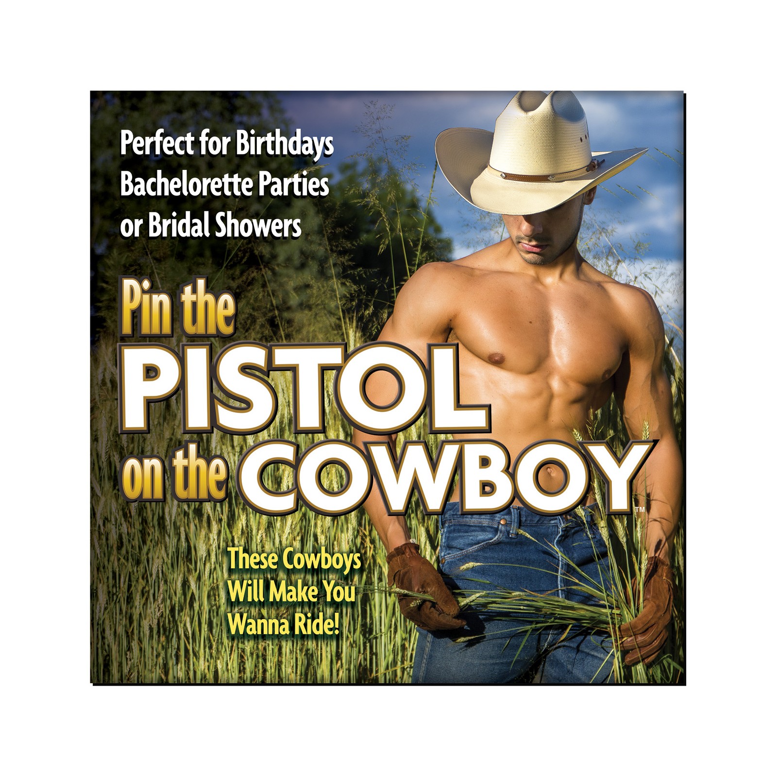 Pin the Pistol on the Cowboy Game