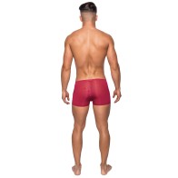 Seamless Sleek Shorts with Sheer Pouch for Ultimate Comfort