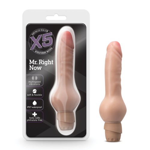 Blush X5 Mr Right Now Vibrator