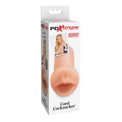 Masturbador PDX Extreme Coed Cocksucker para Noches Placenteras