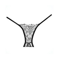 Adore Lace Enchanted Belle Panty Black