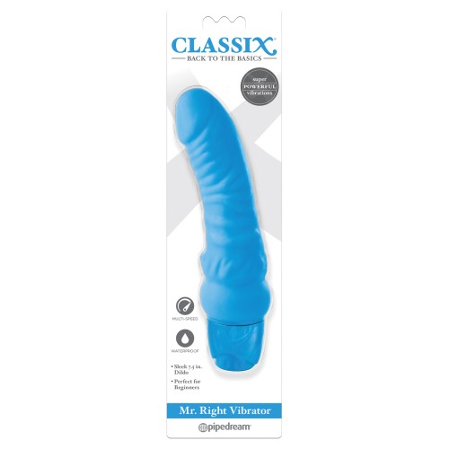 Classix Mr. Right Vibrator for Perfect Stimulation