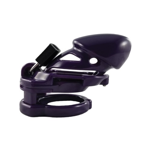 Locked In Lust The Vice Standard Purple