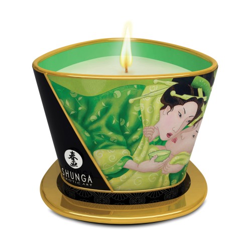 Shunga Zenitude Massage Candle Exotic Green Tea