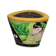 Shunga Zenitude Massage Candle Exotic Green Tea