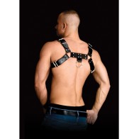 Solid Structure Harness 2