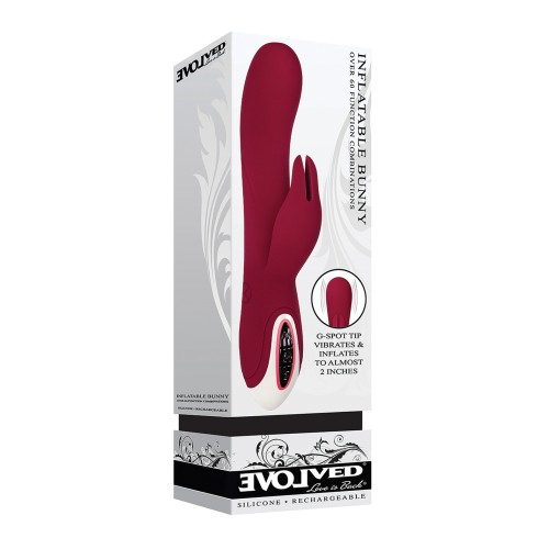 Evolved Inflatable Bunny Dual Stim Vibrator Burgundy