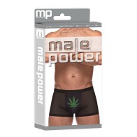 Private Screening Micro Mesh Modal Pot Leaf Shorts Black MD