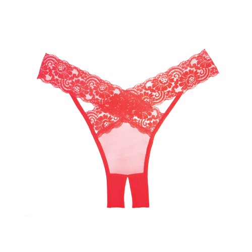 Adore Sheer Lace Desire Panty - Red O/S