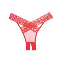 Adore Sheer Lace Desire Panty - Red O/S