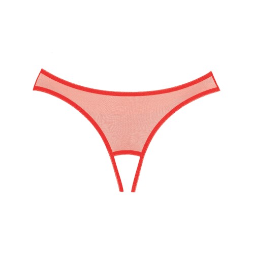 Panty Adore Expose Rojo