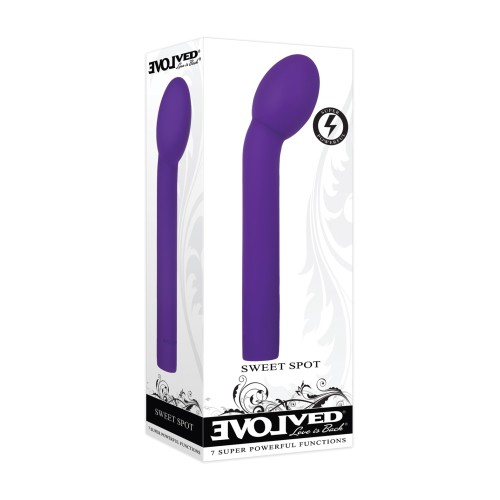 Vibrador Potente G-Spot Evolved Sweet Spot - Púrpura