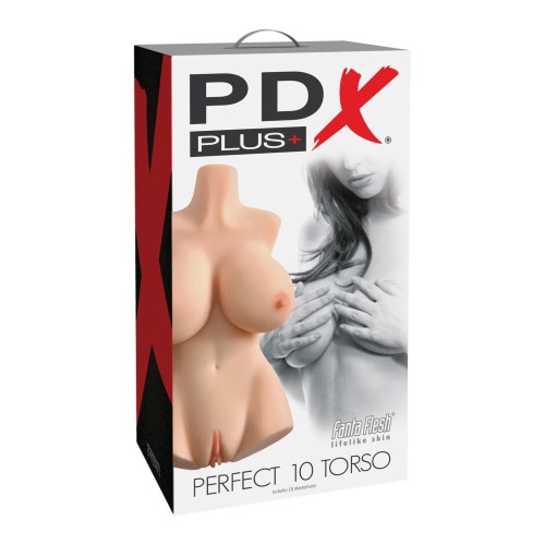 PDX Plus Perfect 10 Torso