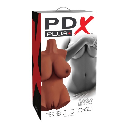 Torso PDX Plus Perfect 10 - Marrón