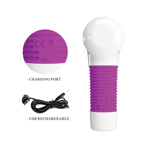 Pretty Love Super Power Massager