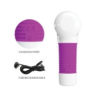 Pretty Love Super Power Massager