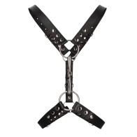 Shots Uomo Men's Harness for BDSM Adventure