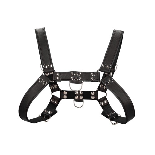 Bulldog Chest Harness for Bold Play