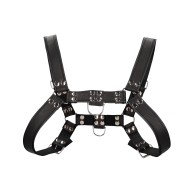 Bulldog Chest Harness for Bold Play