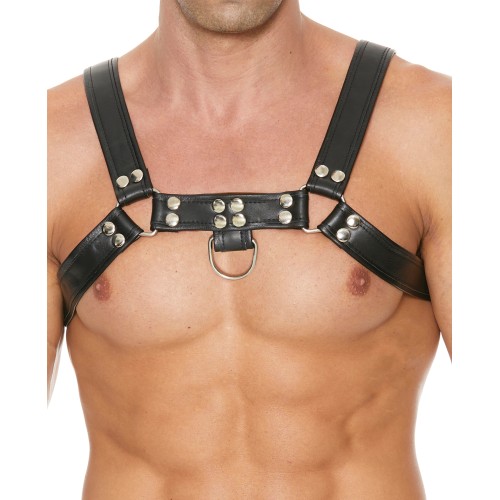 Bulldog Chest Harness for Bold Play