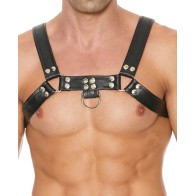 Bulldog Chest Harness for Bold Play