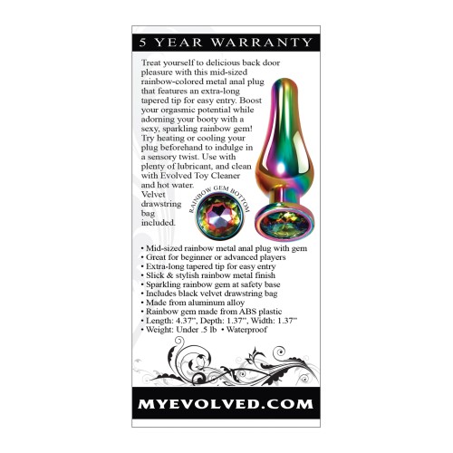 Evolved Medium Rainbow Metal Anal Plug