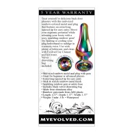 Evolved Medium Rainbow Metal Anal Plug