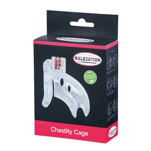 MALESATION Clear Chastity Cage Buy Online