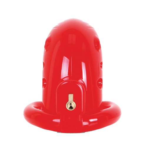 MALESATION Chastity Cage for Ultimate Control