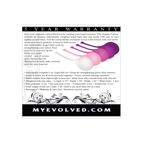 Evolved Tight Delight Weighted Kegel Ball Set Assorted Colors