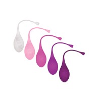 Evolved Tight Delight Weighted Kegel Ball Set Assorted Colors